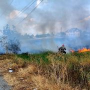 Incendiu de vegetație în Giurgiu! Focul a ars pe 3 hectare și a îngreunat traficul pe DN61