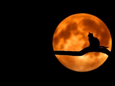 Lună Plină în Fecioară pe 18 martie 2022. Astrolov - astrolog Lavinia Badea - explică ce se întâmplă cu fiecare zodie