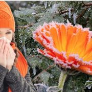 Alertă meteo. Un val de aer rece pătrunde în România și se vor instala ninsorile