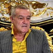 Gigi Becali a scăpat porumbelul și a dat grav din casă despre Călin Georgescu. „Mi-a zis acum 3 săptămâni” Este foarte grav ce afirmă