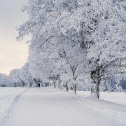 Cum va fi vremea în luna ianuarie. Prognoza meteo pentru următoarele patru săptămâni