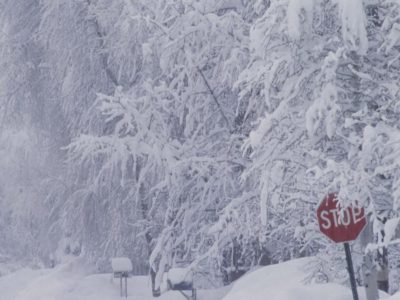 Vremea se strică rău. Meteorologii au emis alerte de cod galben și cod portocaliu de viscol, polei și vânt puternic în aproape toată țara