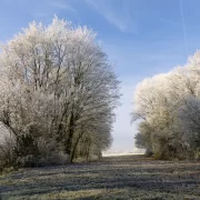 Valul de aer polar îngheață România. Urmează o iarnă ca pe vremuri