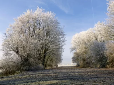 Valul de aer polar îngheață România. Urmează o iarnă ca pe vremuri