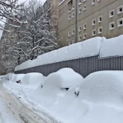 Vin gerul și zăpezile, după zilele cu temperaturi de primăvară. Șefa ANM a anunțat în ce zi va ninge în Capitală