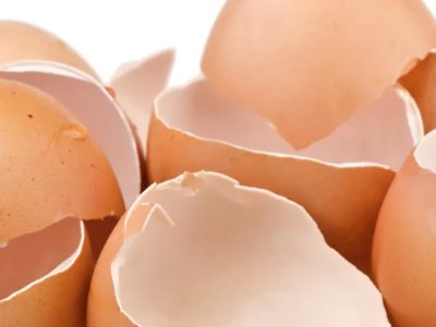 De ce trebuie să pui coji de ouă la plante. E unul dintre secretele grădinarilor de top