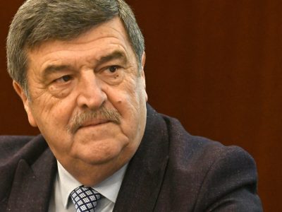 Cine Îl poate înlocui pe Toni Greblă din funcția de funcția de președinte al Autorității Electorale Permanente după demitere