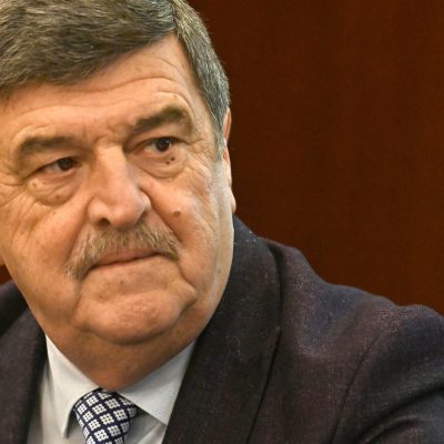 Cine Îl poate înlocui pe Toni Greblă din funcția de funcția de președinte al Autorității Electorale Permanente după demitere