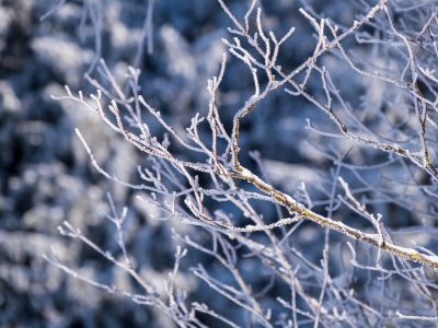 Orașele din România în care va ninge de Paște, potrivit meteorologilor Accuweather