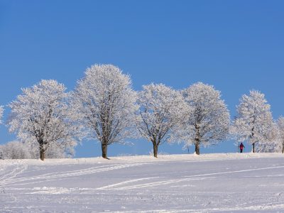 Vin gerul și zăpezile, după zilele cu temperaturi de primăvară. Șefa ANM a anunțat în ce zi va ninge în Capitală