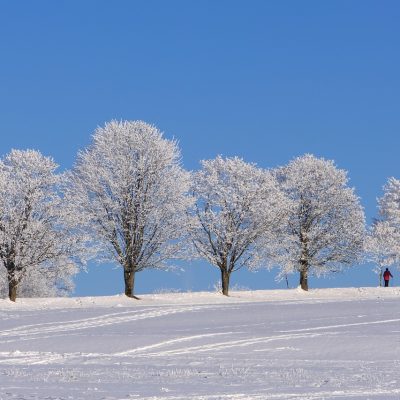 Vin gerul și zăpezile, după zilele cu temperaturi de primăvară. Șefa ANM a anunțat în ce zi va ninge în Capitală