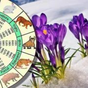 Horoscop 17-23 februarie 2025