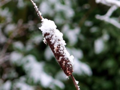 De la ger, la temperaturi de primăvară: ANM a anunțat de când se încălzește vremea. Prognoza meteo pentru următoarele 4 săptămâni
