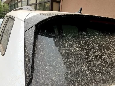 ATENȚIE! Țineți geamurile închise în următoarea perioadă. Persoanele cu afecțiuni respiratorii cronice sau alergii sunt în pericol. Riscă enorm