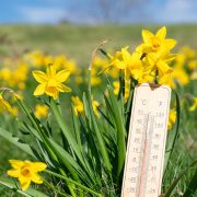 Când revine cu adevărat primăvara. Se schimbă vremea în România. Prognoza meteo ANM pentru următoarele patru săptămâni