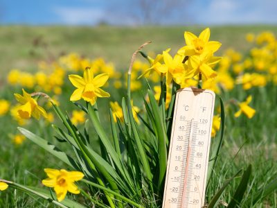 Când revine cu adevărat primăvara. Se schimbă vremea în România. Prognoza meteo ANM pentru următoarele patru săptămâni