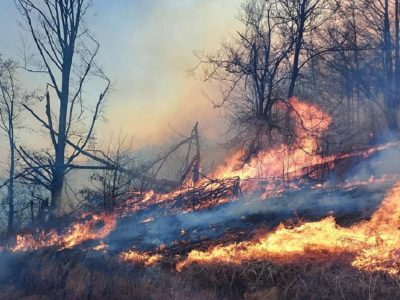 Ultimă oră. S-a aflat cine este vinovatul pentru incendiile devastatoare din România