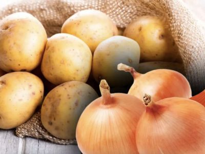 Este foarte toxic. De ce nu trebuie să ții cartofii lângă ceapă. Mulți români greșesc enorm