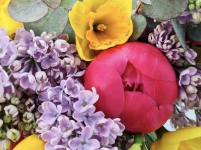 Floarea ce nu trebuie să-ți lipsească din casă, primăvara aceasta. Aduce fericire, pace și speranță nouă