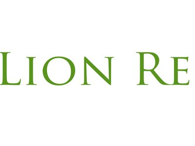 Lion Recycle – Soluții logistice eficiente pentru gestionarea deșeurilor electrice și electronice la nivel corporativ