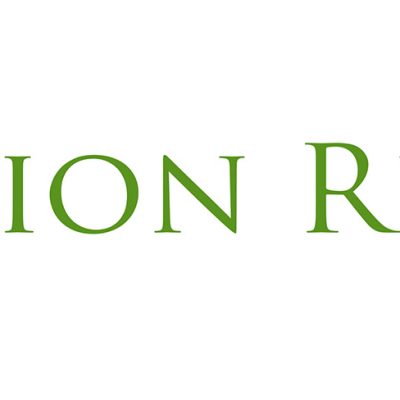 Lion Recycle – Soluții logistice eficiente pentru gestionarea deșeurilor electrice și electronice la nivel corporativ