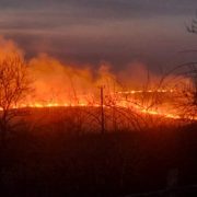 Incendii devastatoare în România. Pompierii se luptă din greu la sol și din aer să stingă flăcările