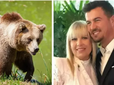 Din păcate este vorba despre Elena Udrea și familia ei. Ursul i-a atacat și...