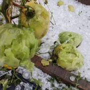 Așa furtună nu s-a mai văzut. A măturat totul în cale, iar pagubele sunt uriașe