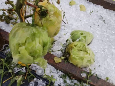 Așa furtună nu s-a mai văzut. A măturat totul în cale, iar pagubele sunt uriașe