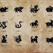 Zodiac chinezesc 16 august 2025. Șobolanii au parte de o energie creativă puternică. Iepurii pot descoperi noi oportunități în cariera lor