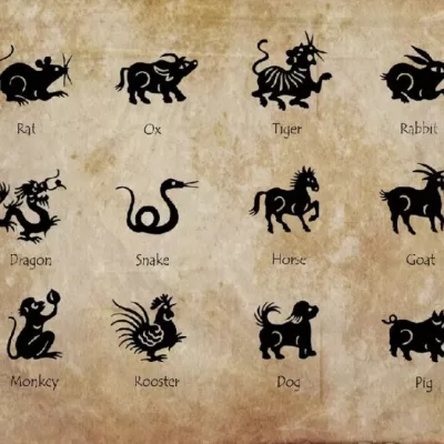 Zodiac chinezesc 16 august 2025. Șobolanii au parte de o energie creativă puternică. Iepurii pot descoperi noi oportunități în cariera lor