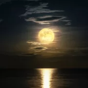 Luna Neagră revine cu forță în Fecioară. Momentul magic în care Universul îți cere să te vindeci de trecut