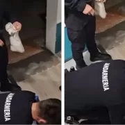 Imagini HALUCINANTE în centrul Bucureştiului. Un piton a evadat chiar din vecinătatea Catedralei Neamului VIDEO