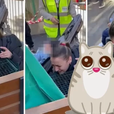 Miracol după 12 zile! Cum a fost salvată o pisicuță din ruinele exploziei din Rahova. Au curs râuri de lacrimi