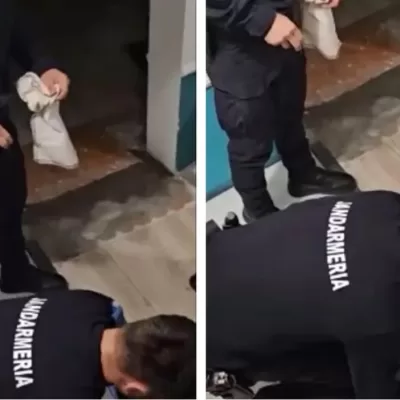 Imagini HALUCINANTE în centrul Bucureştiului. Un piton a evadat chiar din vecinătatea Catedralei Neamului VIDEO