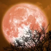 După Luna Plină din 6 octombrie, două zodii primesc darul destinului. Li se împlinește un vis uriaș și vor cunoaște adevărata fericire