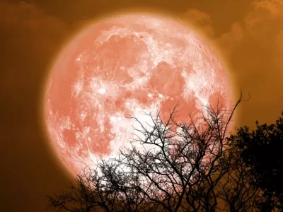 După Luna Plină din 6 octombrie, două zodii primesc darul destinului. Li se împlinește un vis uriaș și vor cunoaște adevărata fericire