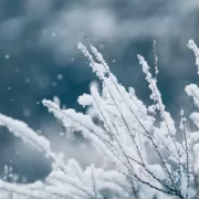 Cum va fi vremea de Crăciun și Revelion. Anunțul meteorologilor