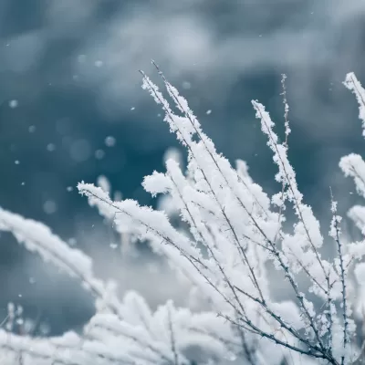 Cum va fi vremea de Crăciun și Revelion. Anunțul meteorologilor