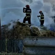 Dezastru uriaș făcut de doi copii care s-au jucat cu focul. Totul e pierdut