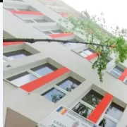 Sunt scurgeri de gaze la un liceu. Elevi și profesori evacuați de urgență