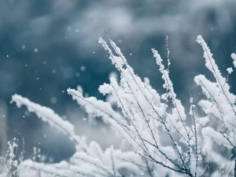 Când se lasă sec pentru Postul Crăciunului. Tot ce trebuie să știi pentru acest pentru sărbătoarea din acest an