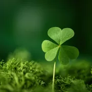 Ce să faci pentru a încheia anul în bogăție și belșug. Dacă vei face asta în 2026 nu vei mai avea nicio grijă