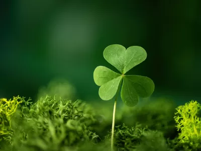 Ce să faci pentru a încheia anul în bogăție și belșug. Dacă vei face asta în 2026 nu vei mai avea nicio grijă