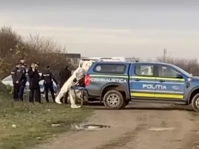 Cine este bărbatul găsit carbonizat. Ultimele indicii sunt șocante!