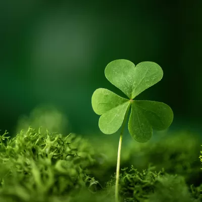 Ce să porți în buzunar în ultimele zile din an. Aduce noroc la bani și în familie tot anul