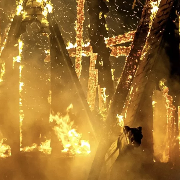 O nouă tragedie zguduie lumea! O biserică a ars din temelii și au murit oameni