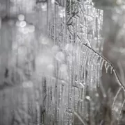 Alertă majoră imediată. Toți românii trebuie să știe