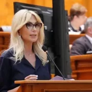 PNL dă lovitura pentru CCR! Proiectul care îngenunchează Curtea
