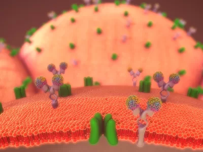 Leguma banală care mânâncă zaharul din organism